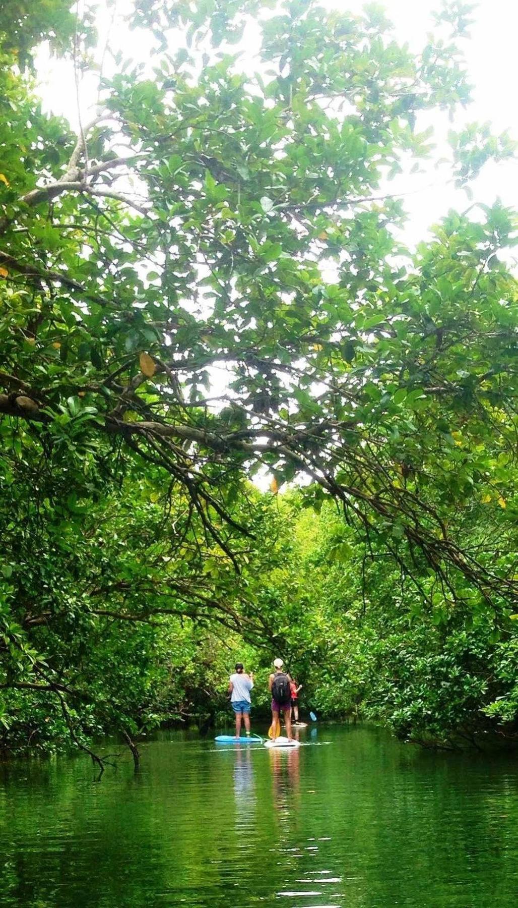 Naveria Heights Lodge Savusavu Exteriér fotografie